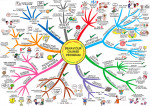 Behavior change program mind map